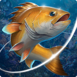 Fishing Hook Mod Apk 2.4.8 (Level Max, Unlock Aquarium)